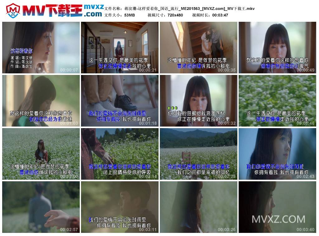 蒋汶珊-这样爱着你_国语_流行_ME201563